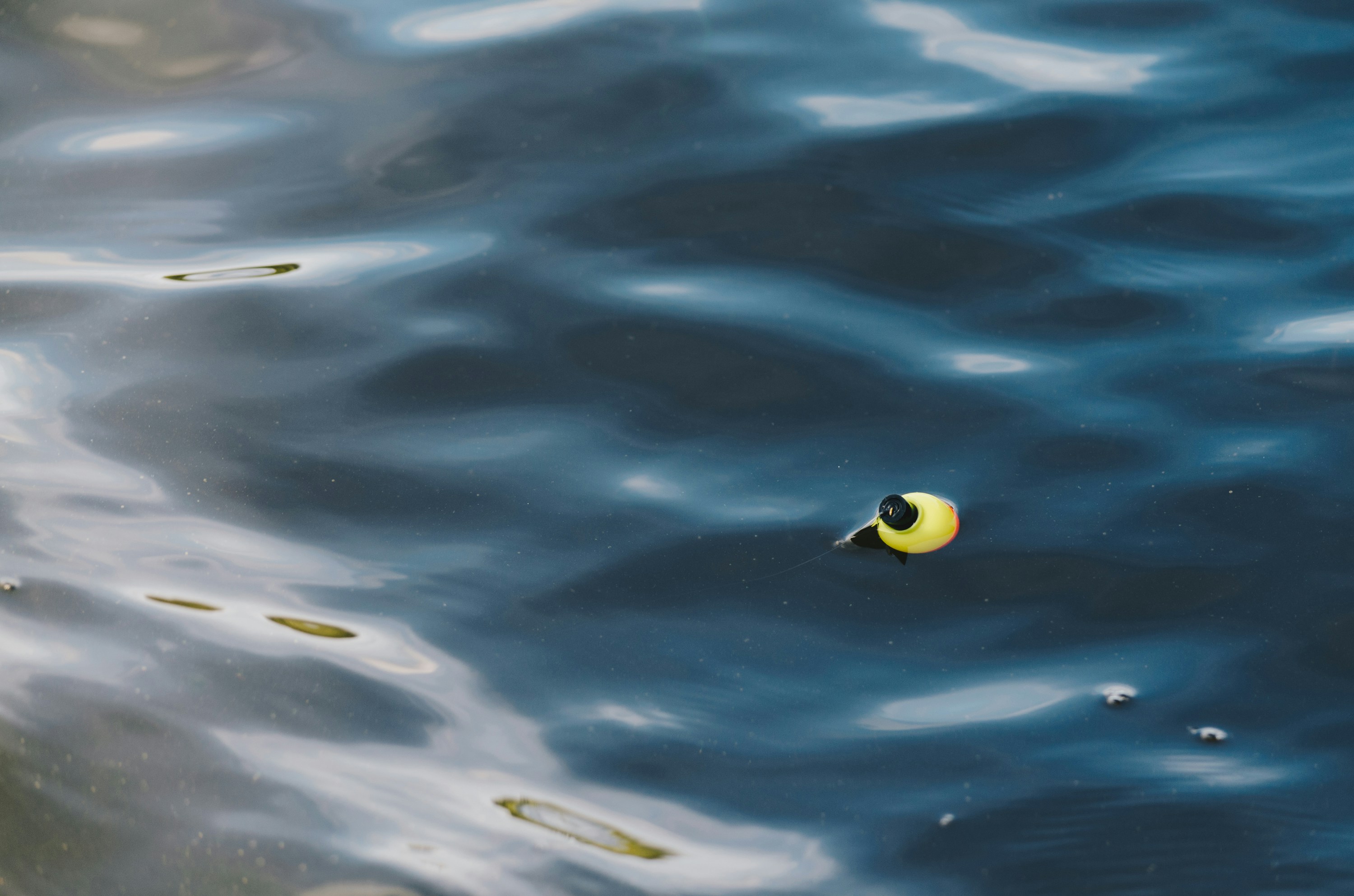 bobber in lake